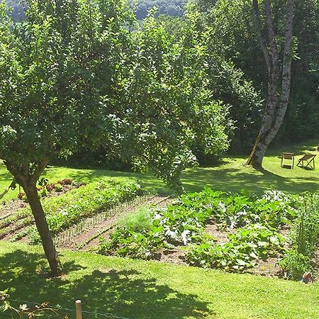 L'Ourserie Bed & Breakfast Saint-Paul-en-Chablais Eksteriør billede
