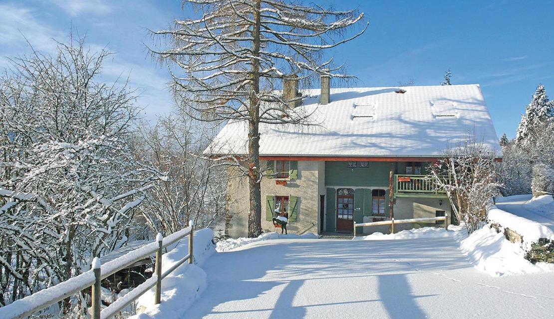 L'Ourserie Bed & Breakfast Saint-Paul-en-Chablais Værelse billede