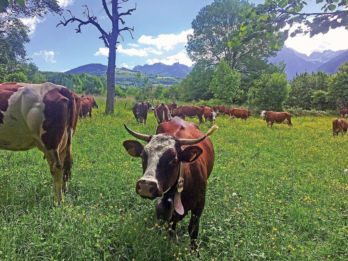 L'Ourserie Bed & Breakfast Saint-Paul-en-Chablais Værelse billede